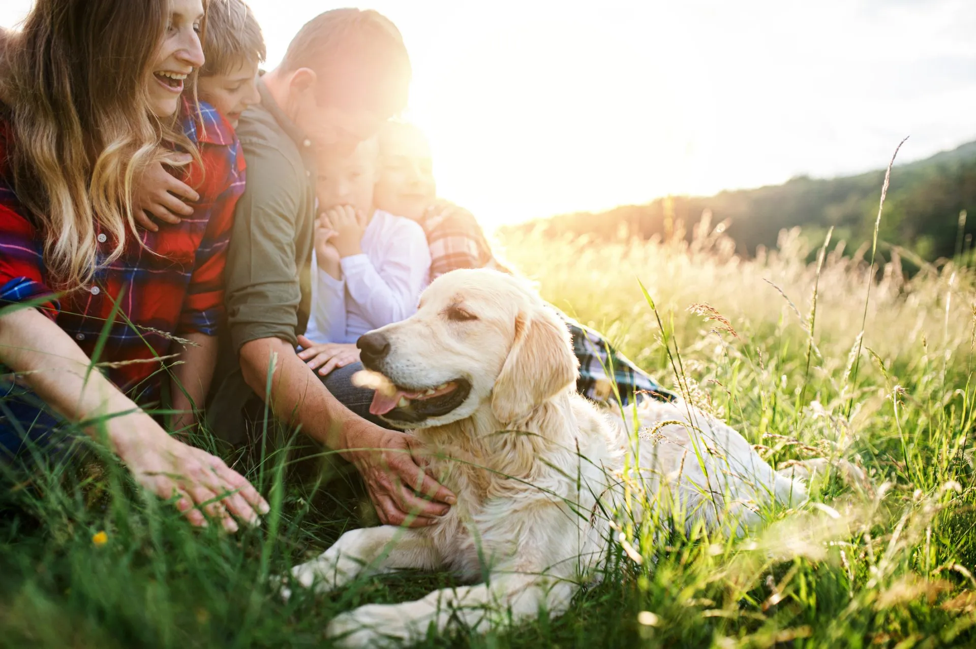 A dog laying in the grass with two people.